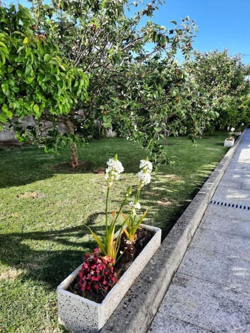 Atico En O Grove Con Jardin Lägenhet Exteriör bild